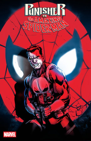 PUNISHER VS SPIDER-MAN #4 ORIGINAL COVER ART BY ADAM GORHAM