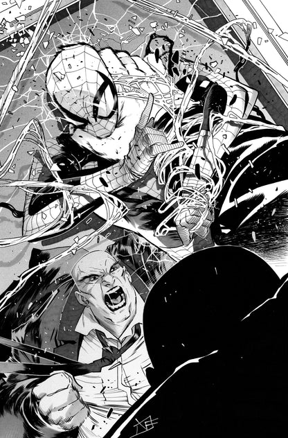 ULTIMATE SPIDER-MAN  #23  FEDERICO VICENTINI COVER ART