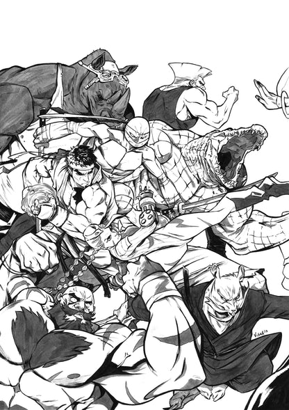 TMNT VS STREET FIGHTER #1-5 ORIGINAL COVER ART BY VINCENZO FEDERICI